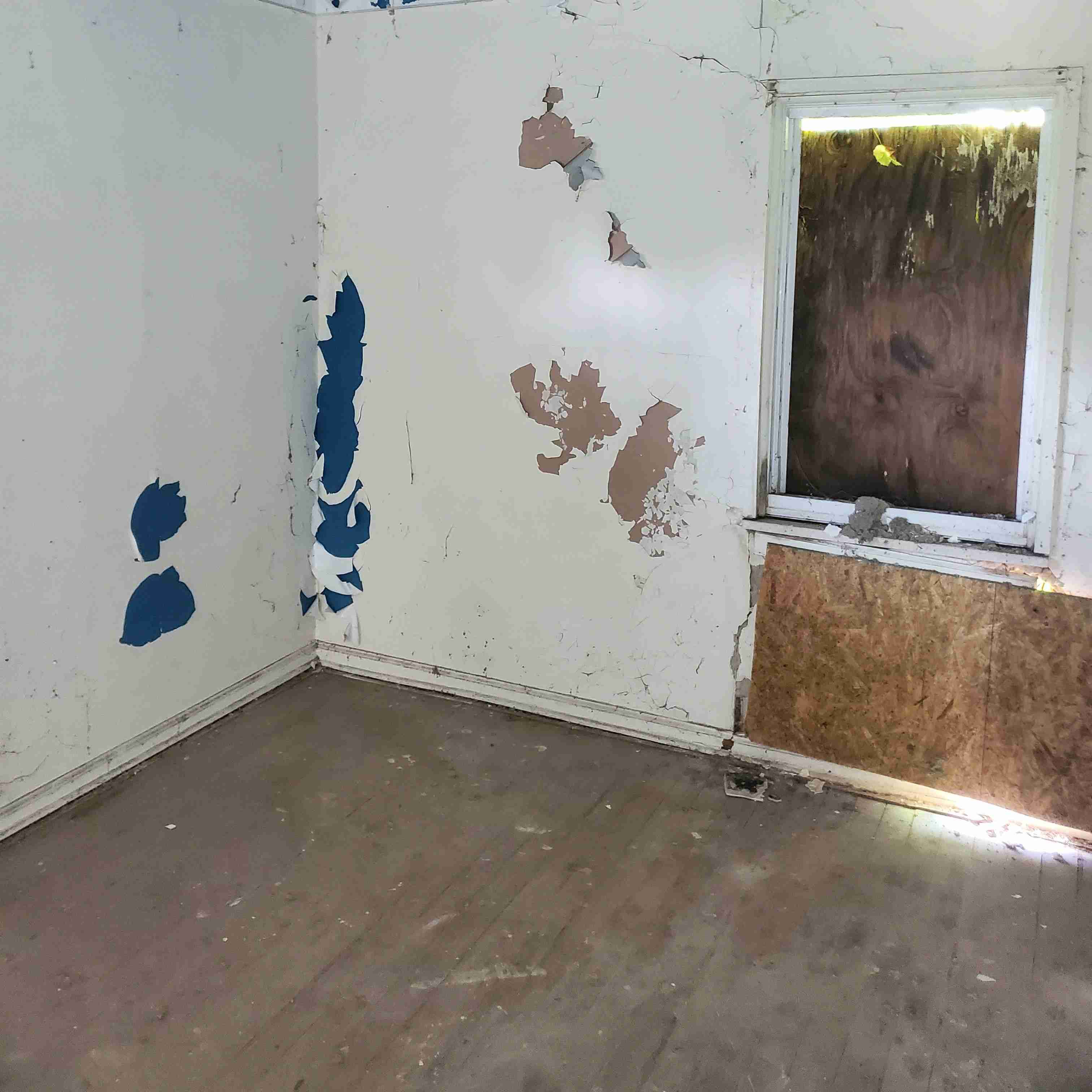 20200812_150927 (3).jpg